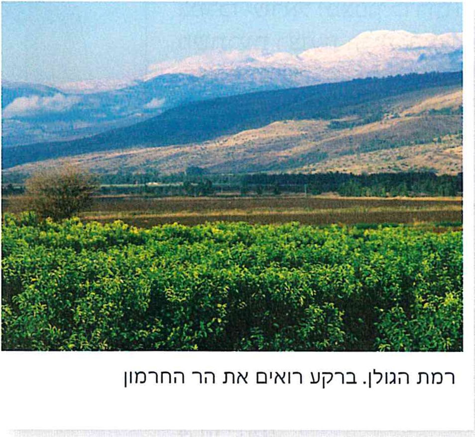 רמת הגולן. ברקע רואים את הר החרמון